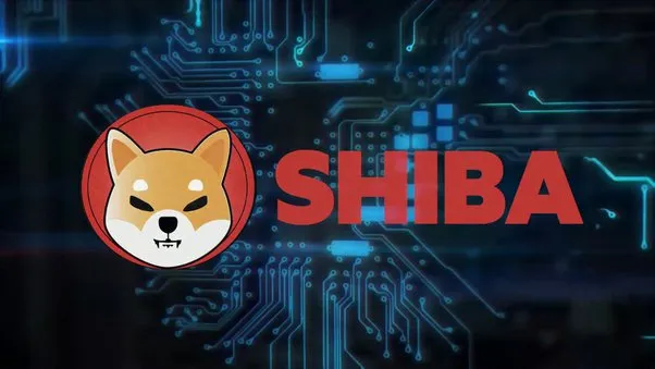 How to Buy Shiba Inu Coin in India – 5 Easy Steps for Success