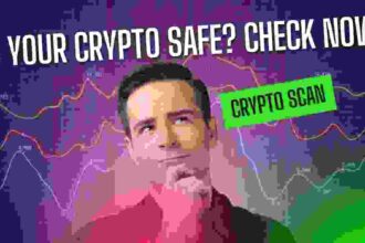 cryptoscan interface crypto scam checker tool demo